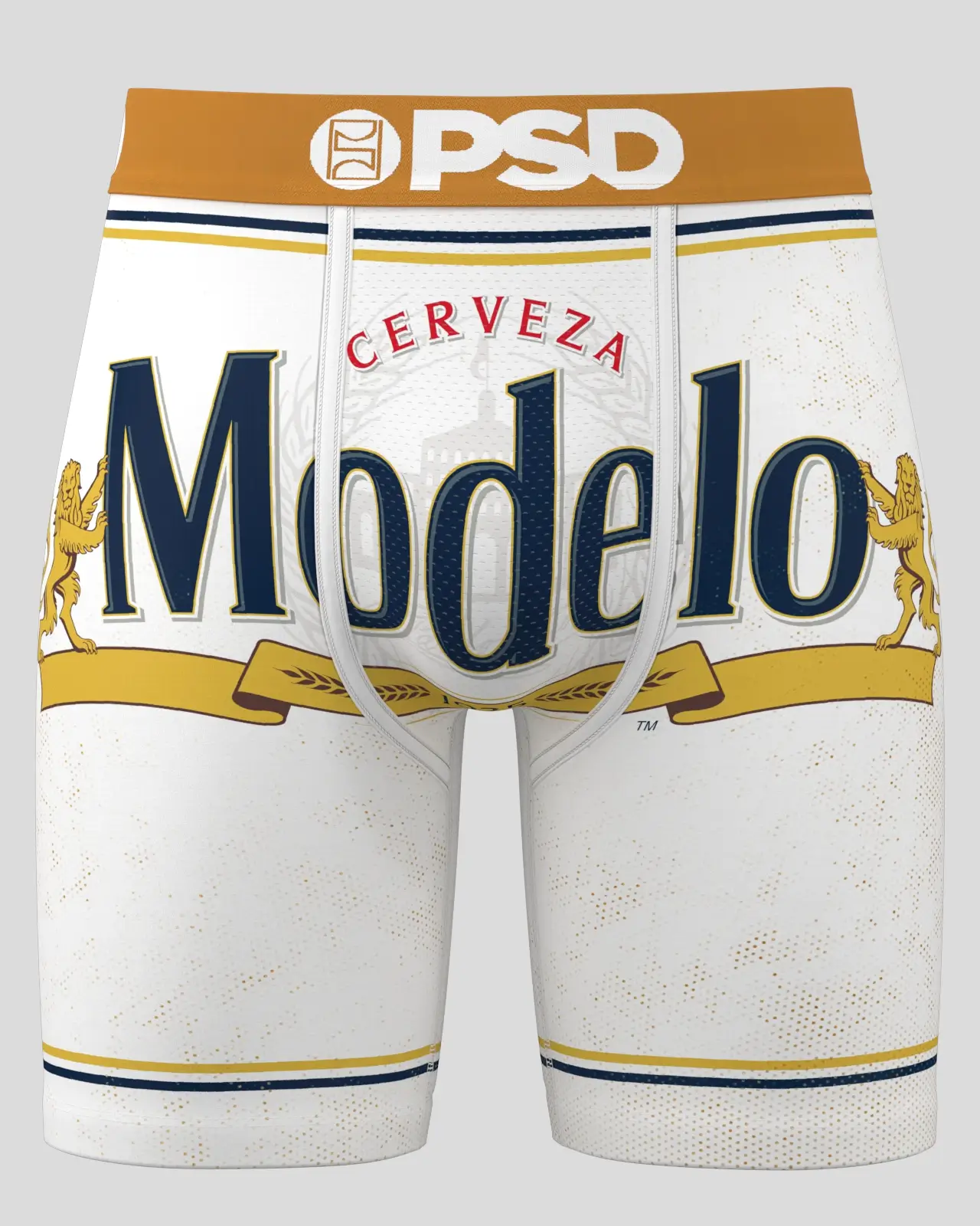 Modelo - Can - Image 4