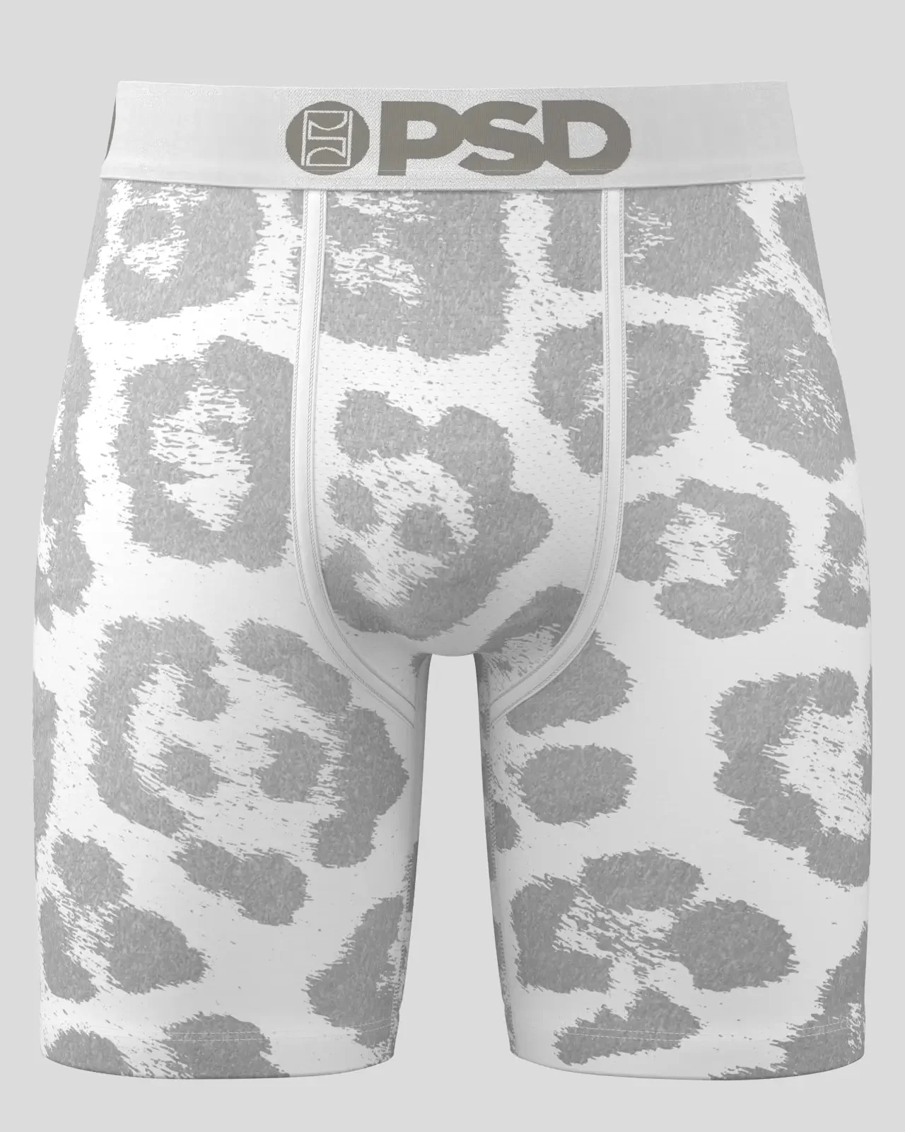 Snow Leopard - Image 2